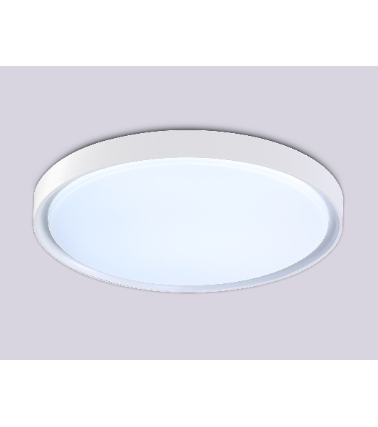 Потолочный светодиодный светильник Ambrella light FZ1246 WH белый IP54 12W 5000K D240*60 (Без ПДУ)