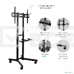 Подставка для телевизора Arm Media PT-STAND-7 черный 32'-80' макс.50кг напольный фиксированный, фото7