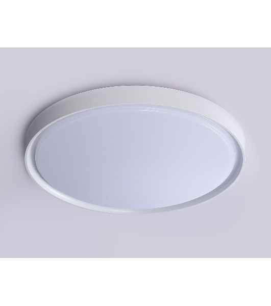 Потолочный светодиодный светильник Ambrella light FZ1246 WH белый IP54 12W 5000K D240*60 (Без ПДУ)