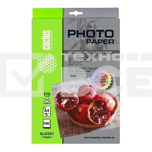 Фотобумага Cactus CS-GA4170100 A4/170г/м2/100л./белый глянцевое для струйной печати