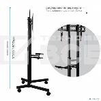Подставка для телевизора Arm Media PT-STAND-7 черный 32'-80' макс.50кг напольный фиксированный, фото6