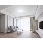 Потолочный светодиодный светильник Ambrella light FZ1246 WH белый IP54 12W 5000K D240*60 (Без ПДУ), фото3