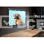 Экран Cactus 149.4x265.7см Wallscreen CS-PSW-149X265-SG 16:9 настенно-потолочный рулонный серый, фото3
