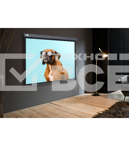 Экран Cactus 149.4x265.7см Wallscreen CS-PSW-149X265-SG 16:9 настенно-потолочный рулонный серый