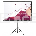 Экран Cactus 180x180см Triscreen CS-PST-180x180 1:1 напольный рулонный белый, фото5