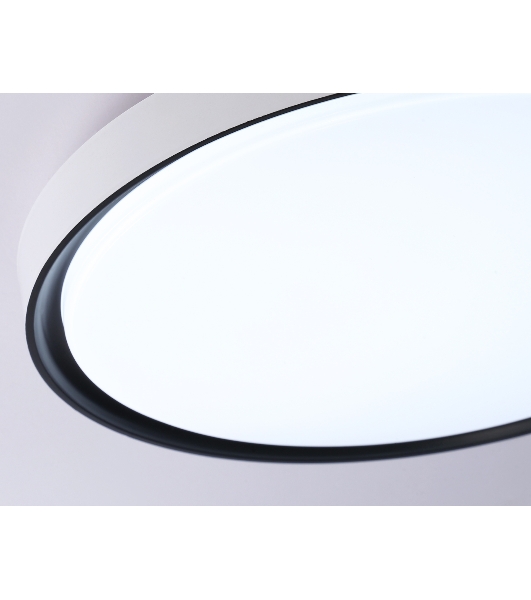 Потолочный светодиодный светильник Ambrella light FZ1247 WH/BK белый/черный IP54 20W 5000K D300*60 (Без ПДУ)