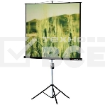 Экран на штативе Lumien 120x160см Master View LMV-100112, фото2