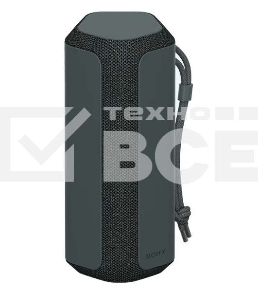Беспроводная колонка Sony SRS-XE200 черный