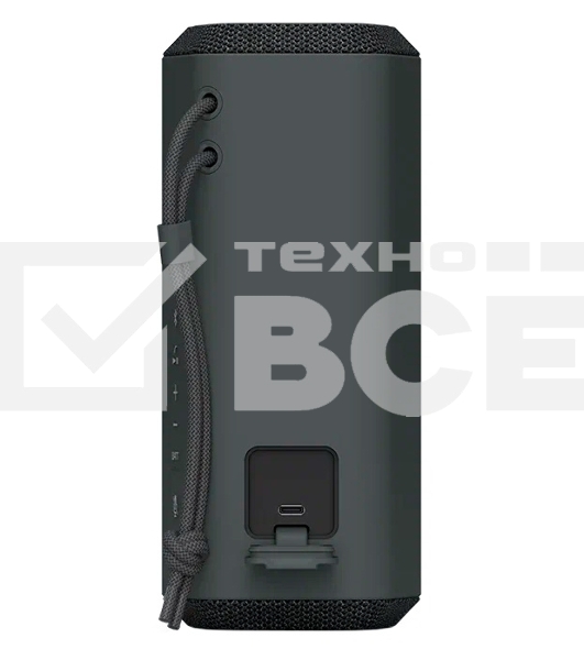 Беспроводная колонка Sony SRS-XE200 черный