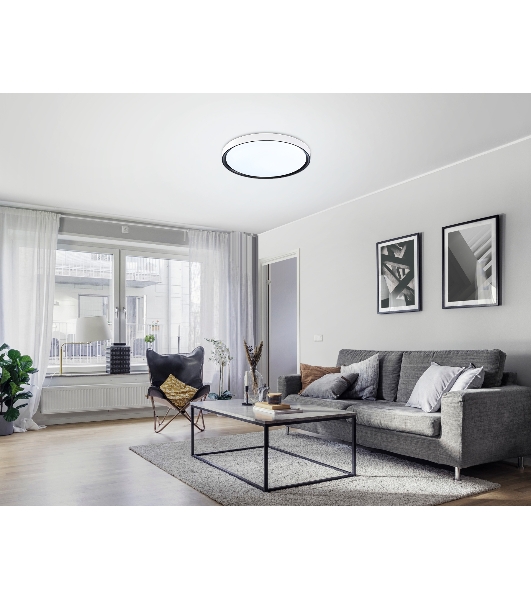 Потолочный светодиодный светильник Ambrella light FZ1247 WH/BK белый/черный IP54 20W 5000K D300*60 (Без ПДУ)