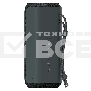 Беспроводная колонка Sony SRS-XE200 черный