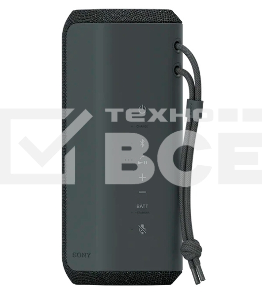 Беспроводная колонка Sony SRS-XE200 черный