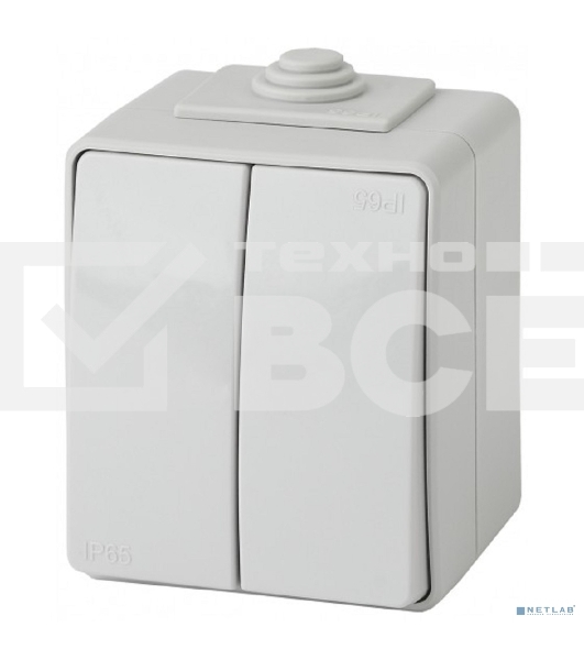 Выключатель 2-кл ОУ IP65 ЭРА 11-1604-03 Эксперт серый
