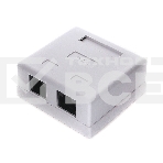 Розетка NA-TA/1 RJ45+RJ11 кат.5e UTP внешняя 2 порта, 110&Krone, фото 1