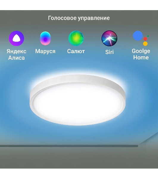 Умный светильник Digma TopLight TL40 потолоч. белый (TL40)