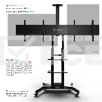Стойка для двух телевизоров с кронштейном ONKRON TS1881DV 40