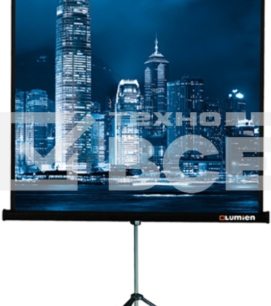Экран на треноге Lumien 220x165см Master View LMV-100113 4:3 напольный рулонный