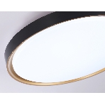 Потолочный светодиодный светильник Ambrella light FZ1249 BK/GD черный/золото IP54 45W 5000K D480*60 (Без ПДУ), фото7