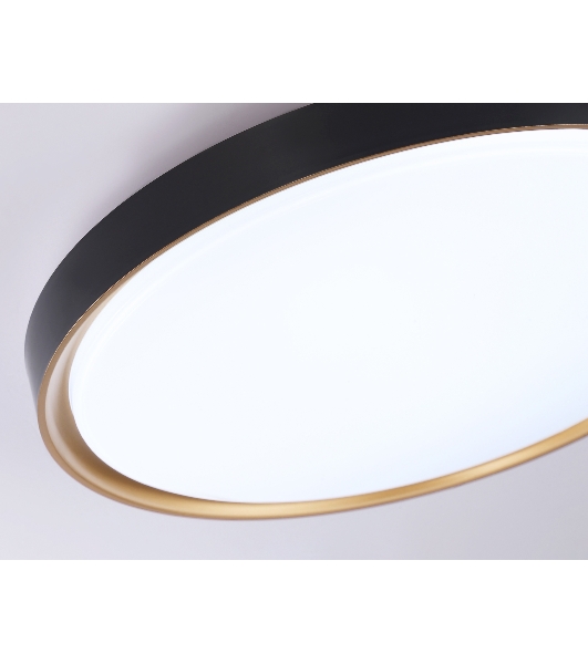 Потолочный светодиодный светильник Ambrella light FZ1249 BK/GD черный/золото IP54 45W 5000K D480*60 (Без ПДУ)