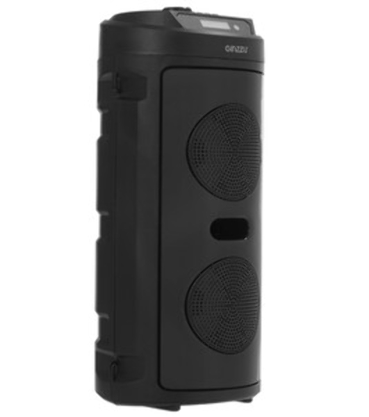 Акустическая система Midi GM-231 TWS/BT/USB/TF/FM/ДУ черный