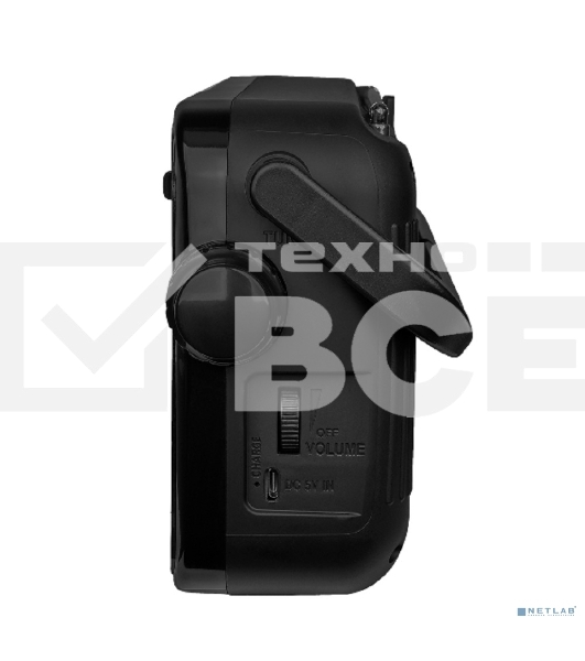 Радиоприемник RITMIX RPR-303, черный