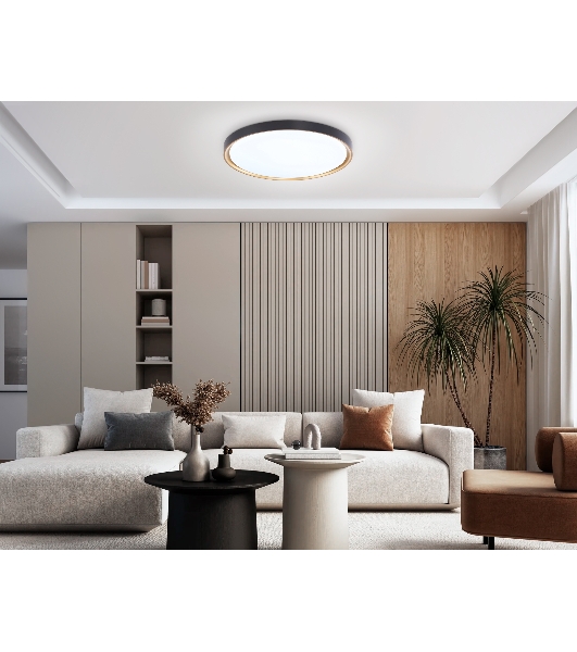 Потолочный светодиодный светильник Ambrella light FZ1249 BK/GD черный/золото IP54 45W 5000K D480*60 (Без ПДУ)
