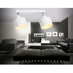 Светильник Ambrella light TR8141/2  WH белый E27*2 max 40W 340*120*180, фото 1