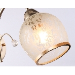Светильник Ambrella light TR3195 GD/CL/FR золото/прозрачный/белый матовый E27 max 40W 190*110*290, фото 1