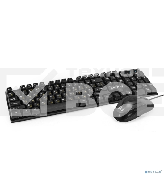Комплект ExeGate Professional Standard Combo MK110 (клавиатура влагозащищенная 104кл. + мышь оптическая 1000dpi, 3 кнопки и колесо прокрутки, длина кабелей 1,5м; USB, черный, Color Box)