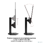 Монитор 23.8' ExeGate ProSmart EZ2400C IPS 1920x1080, 75 Гц, 3 мс, 16:9, 250 кд/м², VGA, HDMI 2.0, DP 1.2, USB, 3.5 Jack, динамики (2x3 Вт), FreeSync, черный, фото12