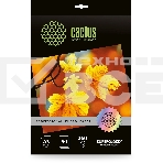 Фотобумага Cactus Prof CS-HGA326050 A3/260г/м2/50л./белый глянцевое для струйной печати, фото 1