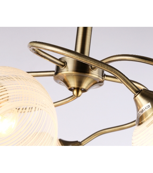 Светильник Ambrella light TR3199/5 SB/CL/FR бронза/прозрачный/белый матовый E27/5 max 40W D600*485