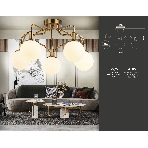 Светильник Ambrella light TR3212/5 GD/FR золото/белый матовый  E27*5 max 40W D560*302, фото6
