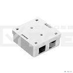 Розетка компьютерная двойная ExeGate SM2-RJ45-C6 RJ-45 кат.6 UTP Krone/110, фото8