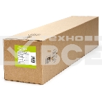 Холст Cactus CS-MC260-61030 610мм-30м/260г/м2/белый матовое синтетика для струйной печати втулка:50.8мм (2