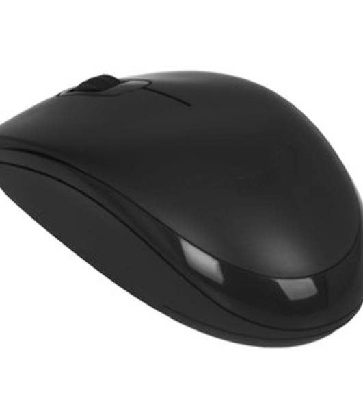 Мышь Беспроводная Genius NX-7000XE Black