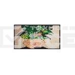 LED панель Philips 65BDL4511D/00 65 D-Line, UHD, 24/7 landscape & portrait, 500cd, Failover, USB Player, CMND&Control, LAN, OPS, фото8