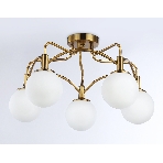 Светильник Ambrella light TR3212/5 GD/FR золото/белый матовый  E27*5 max 40W D560*302, фото 1