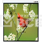 Экраны LUMIEN LUMIEN Master Picture LMP-100129 220*220 1:1, черная кайма по периметру, фото 1