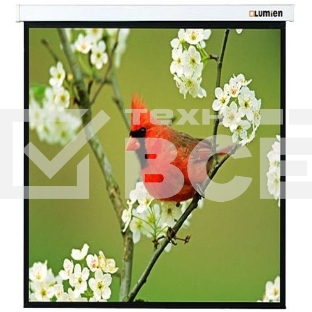 Экраны LUMIEN LUMIEN Master Picture LMP-100129 220*220 1:1, черная кайма по периметру