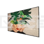 LED панель Philips 65BDL4511D/00 65 D-Line, UHD, 24/7 landscape & portrait, 500cd, Failover, USB Player, CMND&Control, LAN, OPS, фото5