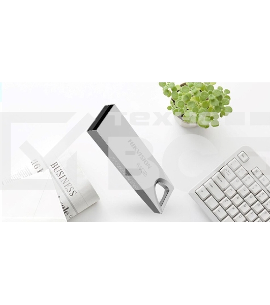 Флеш диск Hikvision 64Gb HS-USB-M200/64G USB2.0 серебристый