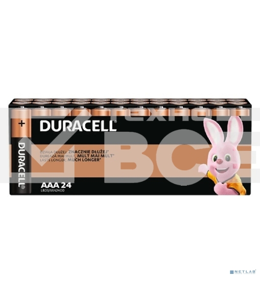 Батарейки DURACELL LR03-24BL BASIC AAA (MN2400) (24 шт. в уп-ке)