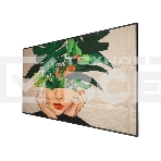 LED панель Philips 65BDL4511D/00 65 D-Line, UHD, 24/7 landscape & portrait, 500cd, Failover, USB Player, CMND&Control, LAN, OPS, фото4