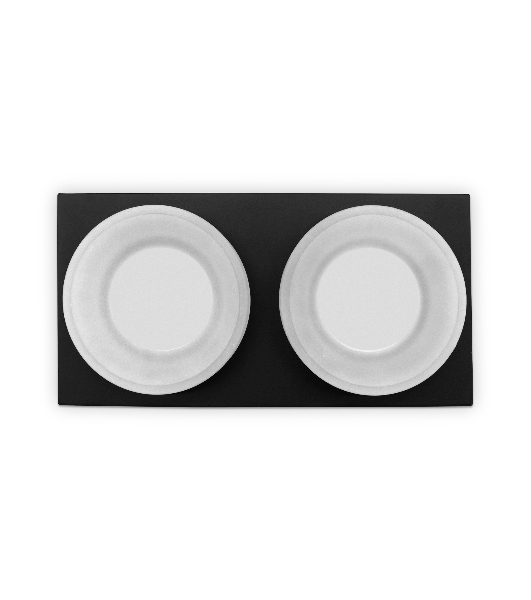 Светильник Ambrella light TN1319/2 SBK/FR черный песок/белый матовый GU5.3 182*92*45