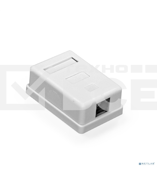 Розетка компьютерная двойная ExeGate SM1-RJ45-C6 RJ-45 кат.6 UTP Krone/110