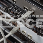 Rexant Пaтч-корд F/UTP, категория 6, RJ45-RJ45, экранированный, PVC серый, 1м, фото8