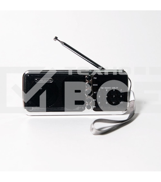 Радиоприемник портативный Сигнал РП-226BT черный/серебристый USB microSD