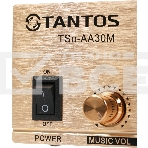 Усилитель Tantos TSo-AA30M выход 100Вт / 30Вт (00-00025068), фото14