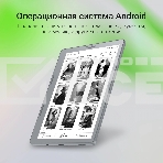 Электронная книга Digma E2 5.83